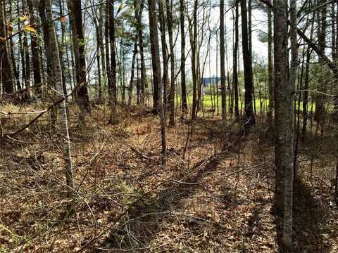Lt 37 Lilium Lane, Cullowhee, NC 28723