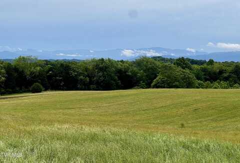 58/Ac Tbd River View Drive, Morristown, TN 37813