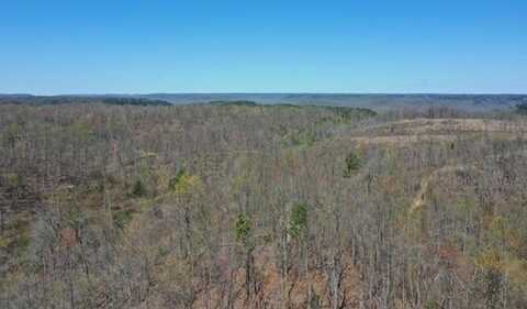 Lot 1 Old Hiram Crabtree Rd, Jamestown, TN 38556