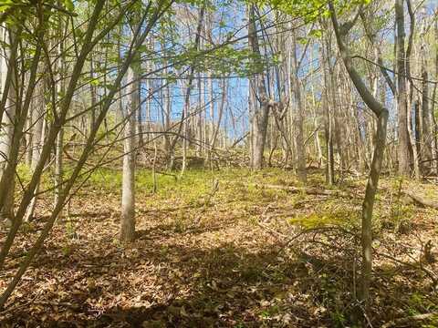 TBD TANASI DR, Newport, TN 37821