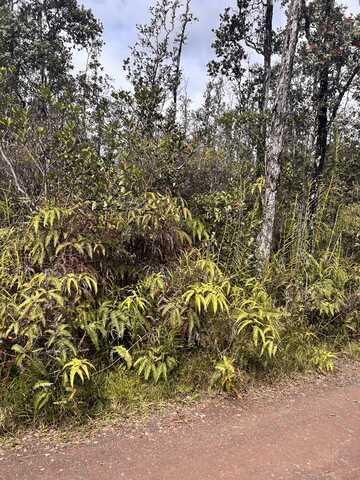 ROAD 6 (OOAA), Kurtistown, HI 96760
