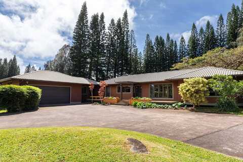 55-853 KUKINI PL, Hawi, HI 96719