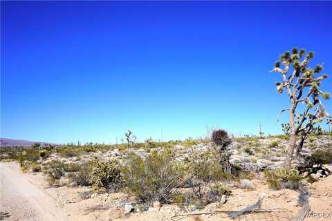 319-13-233 N LARIAT Drive, Dolan Springs, AZ 86441