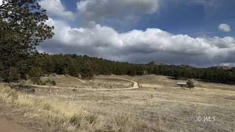 266 Good Hope Dr, Westcliffe, CO 81252