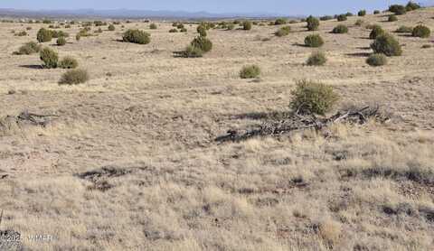 Tbd Powerline Rd, Taylor, AZ 85939