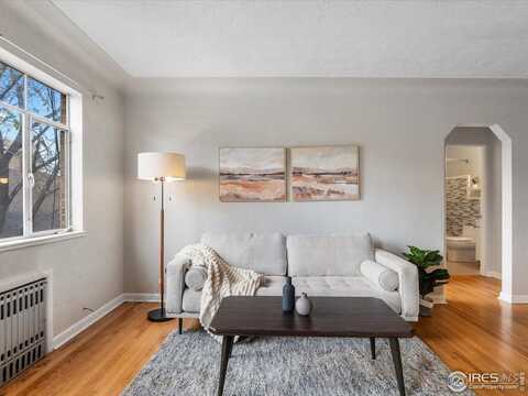 1130 N Pennsylvania St, Denver, CO 80203