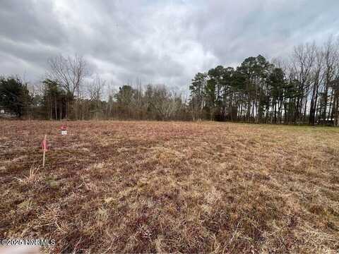 0 Happy Valley Lane, Magnolia, NC 28453