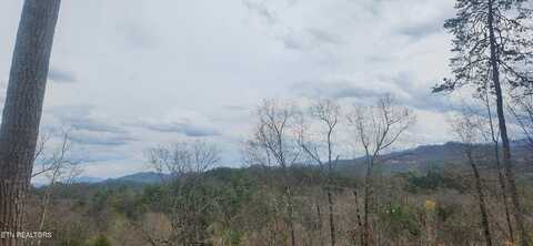 Sulpher Springs Way, Sevierville, TN 37876