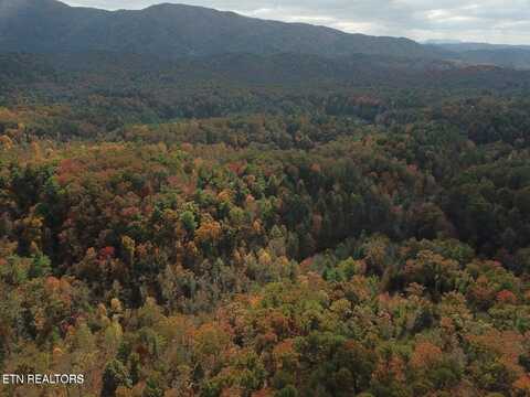 Mt Pleasant Road Rd, Vonore, TN 37885