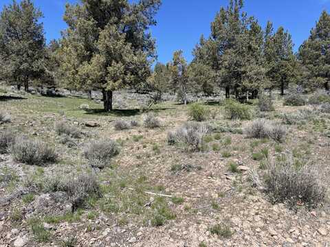 Lot 1195 Murrelet Road, Klamath Falls, OR 97601
