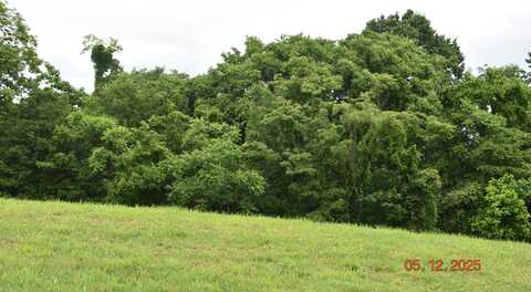 Lot 230 Harbor View, Mooresburg, TN 37811