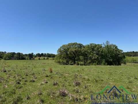 Tbd FM 2685, Gilmer, TX 75645
