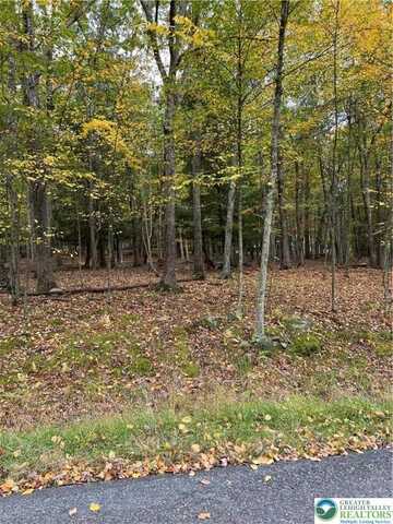 289 Forest Drive, Price Twp, PA 18325