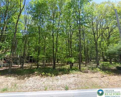 940 OldStage Road, Penn Forest Twp, PA 18210