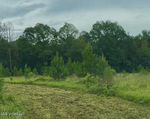 Us-51, Crystal Springs, MS 39059