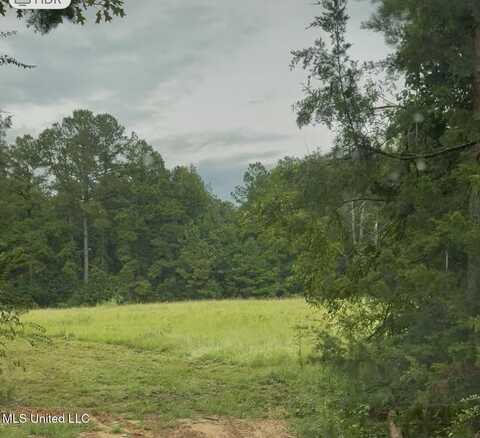 Us-51, Crystal Springs, MS 39059