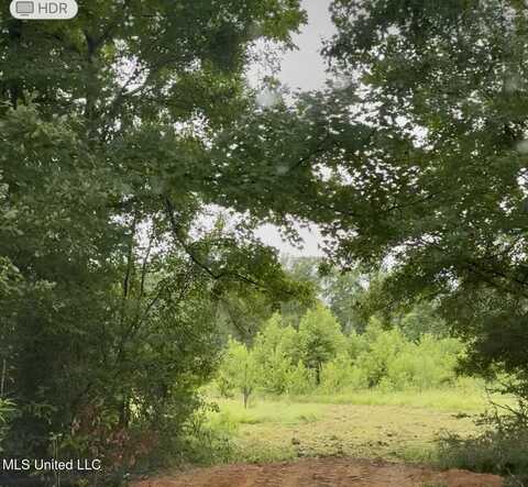 Us-51, Crystal Springs, MS 39059