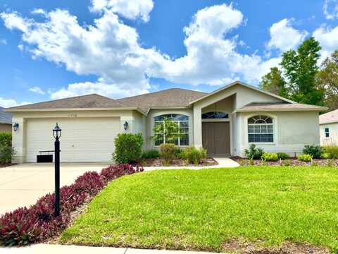 11738 SCENIC HILLS BOULEVARD, HUDSON, FL 34667