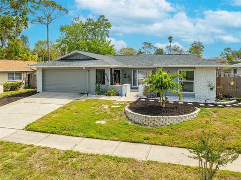 3515 GLOSSY IBIS COURT, PALM HARBOR, FL 34683