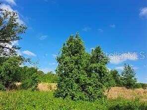 COFFEE CREEK LANE, CLERMONT, FL 34711