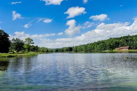 6450 B Nys 97, Narrowsburg, NY 12764