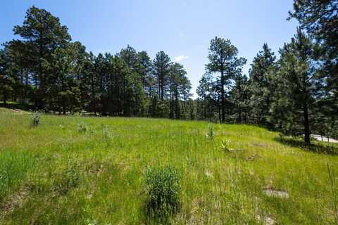 Lot 16 Cuba Street, Deadwood, SD 57732