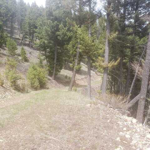 NHN Wyman Gulch Road, Philipsburg, MT 59858