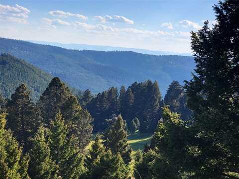 Lot 107 Barn Swallow Road, Helmville, MT 59843