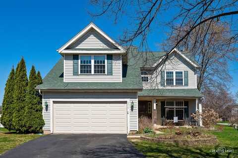 4515 Hedge Row Court, Plainfield, IL 60586