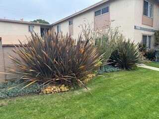 988 Valencia Street, Costa Mesa, CA 92626