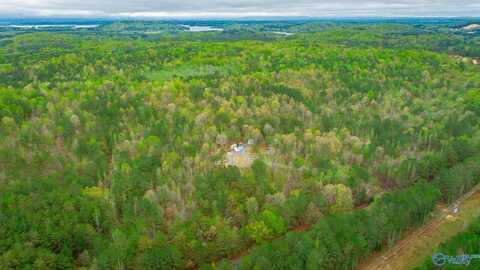5200 Al Hwy 273, Cedar Bluff, AL 35959
