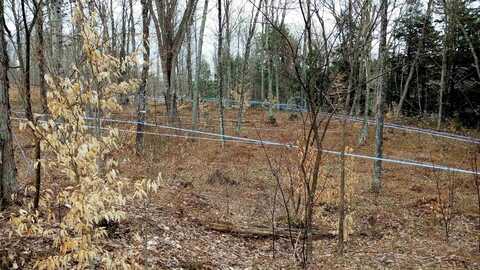 1036 Town Hill Road, Wolcott, VT 05680