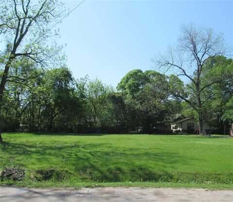 619 Hogg Street, Mineola, TX 75773