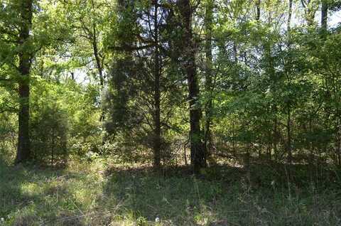 Lot 17 Westwood Drive, Trinidad, TX 75163
