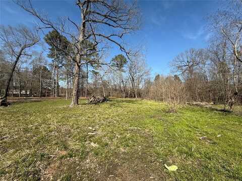 533 lakeview, Doyline, LA 71023