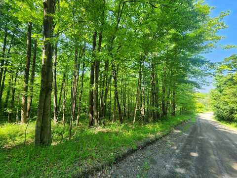 1.1 and 1.2 Marsh Rd., Erin, NY 14838