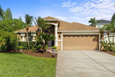 19335 SEACOVE DRIVE, LUTZ, FL 33558