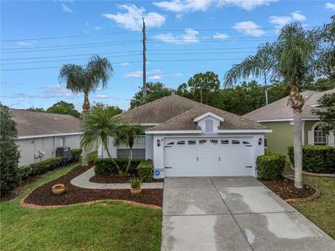 3009 BANYAN HILL LANE, LAND O LAKES, FL 34639