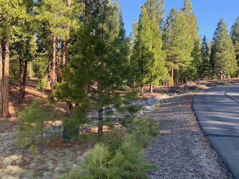 300 Peppergrass Lane, Portola, CA 96122