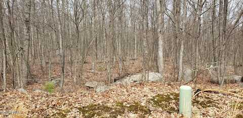 137 Wedgewood Drive, Hawley, PA 18428
