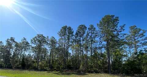 6020 W Rio Grande Drive, Beverly Hills, FL 34465