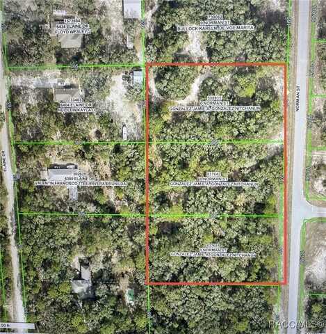 Lot 4,5,6 Norman Street, Webster, FL 33597