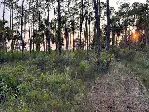 2375 SR 30-A, Port Saint Joe, FL 32456