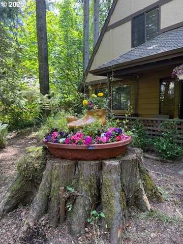 68191 E Twinberry LOOP, Welches, OR 97067