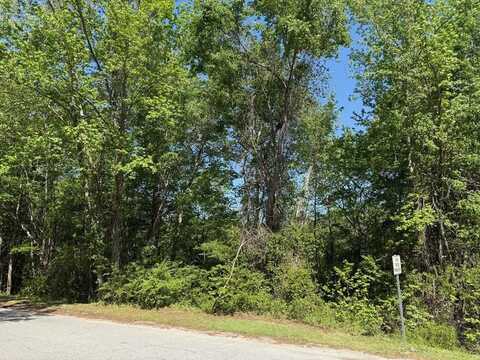0 Haseldon Drive, Manning, SC 29102