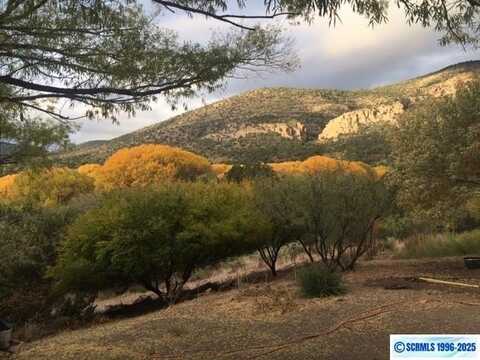 43 Hollimon Road, Glenwood, NM 88039