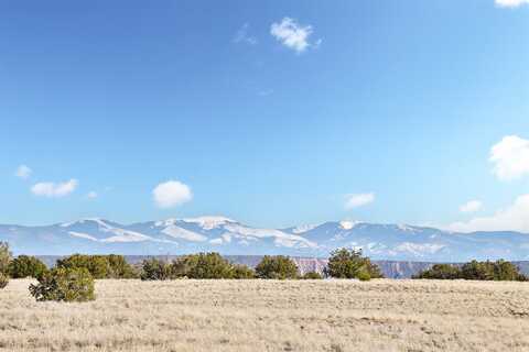 Laredowood Drive lot: 16-B, Medanales, NM 87548