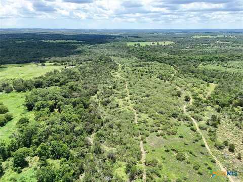 Tbd Chamberlin Road, Dale, TX 78616