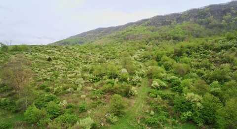 Tbd Clear Fork Creek Road, Bastian, VA 24314