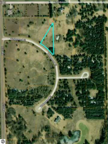 Lot #4 Wedgewood Court, Cadillac, MI 49601